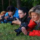 DSC05797 _Medium_.jpg