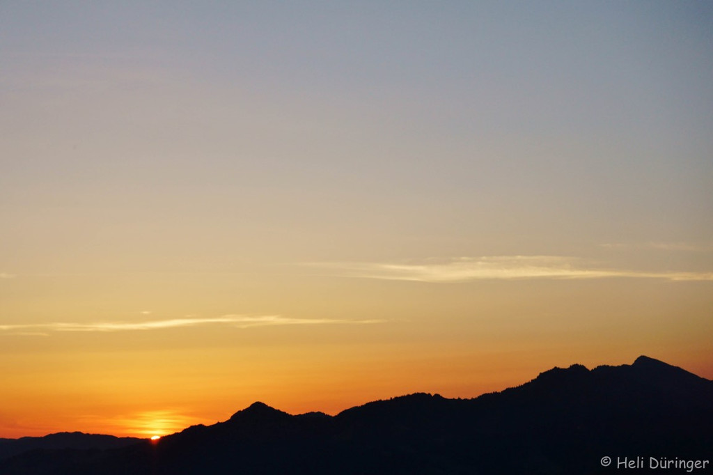 DSC05802 _Medium_.jpg