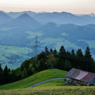 DSC05810 _Medium_.jpg
