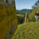 DSC05900 _Medium_.jpg