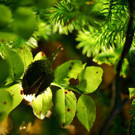 DSC05911 _Medium_.jpg