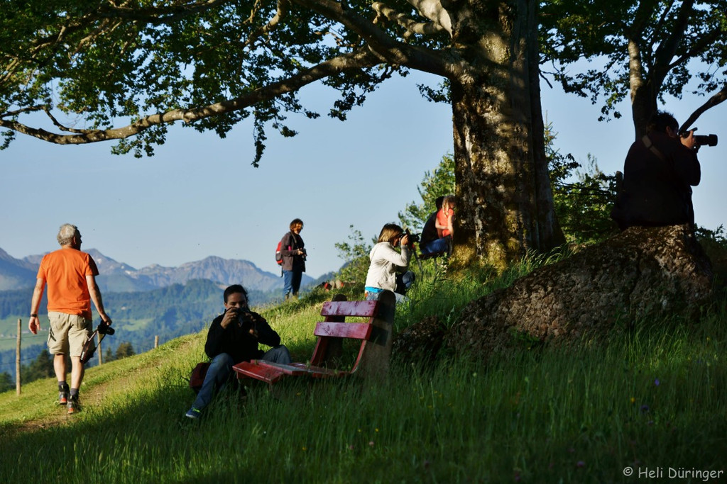 DSC05912 _Medium_.jpg