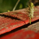 DSC05914 _Medium_.jpg