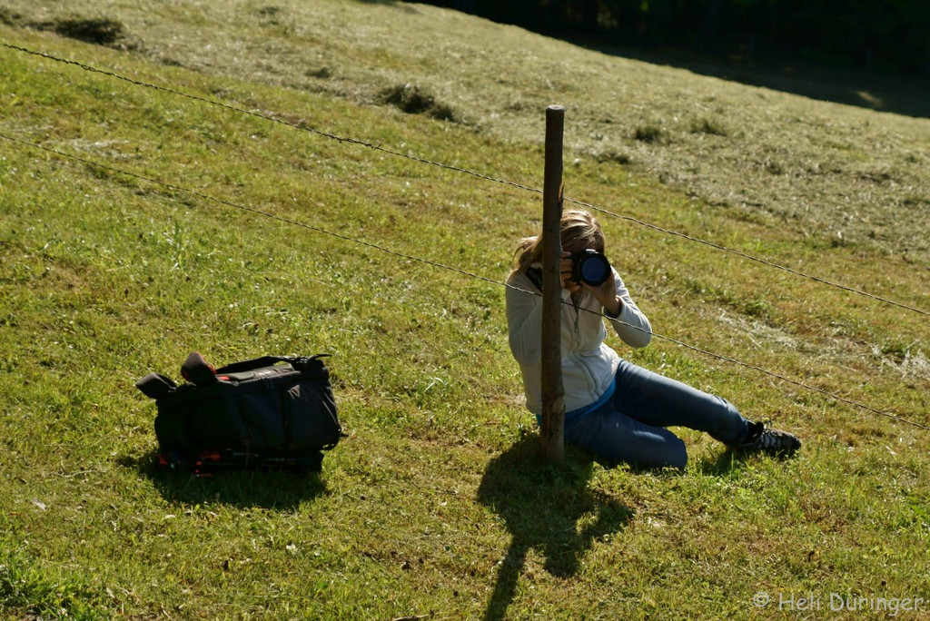 DSC05920 _Medium_.jpg