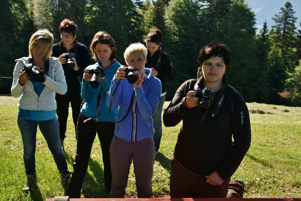 DSC05937 _Medium_.jpg