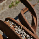DSC05964 _Medium_.jpg
