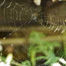 DSC05966 _Medium_.jpg