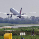 fliegen.jpg