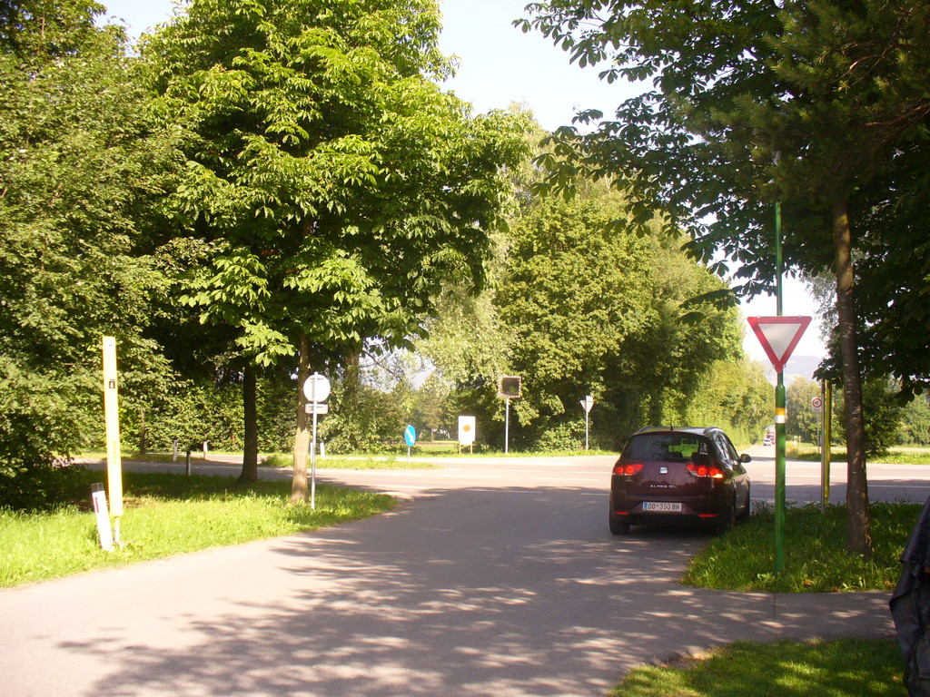 bockl58II.JPG