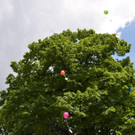 DSC_0944.jpg