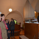 DSC_0826.jpg