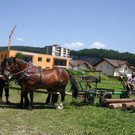 IMG_2277.jpg