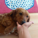 IMAG0450.jpg