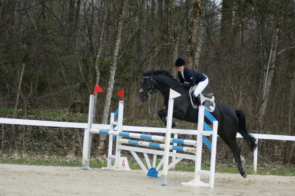 DSC06106_jpg-1271689754