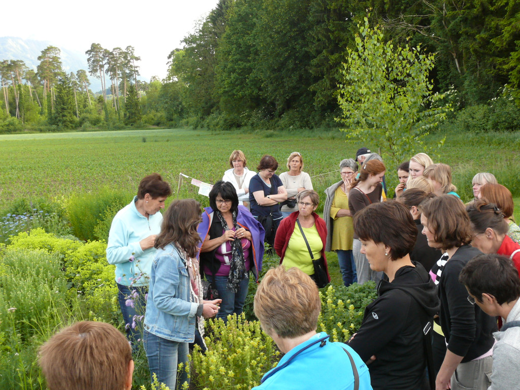 P1440165.JPG