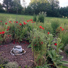 IMG_20140605_195107.jpg