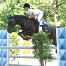 geser_JPG-1271689808