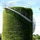Der Faulturm ist von wildem Wein bewachsen.JPG