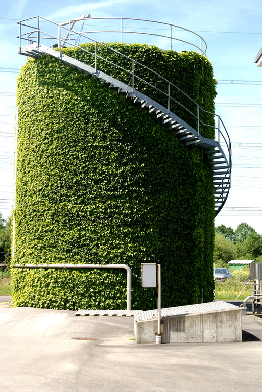 Der Faulturm ist von wildem Wein bewachsen.JPG