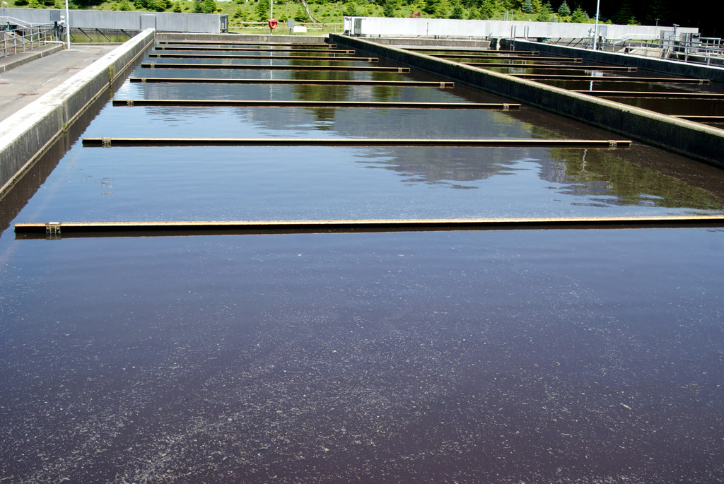 Nach der biologischen Reinigung wird das Wasser wieder in den Koblacher Kanal geleitet.JPG