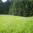 DSC04982.jpg