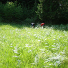 DSC04978.jpg