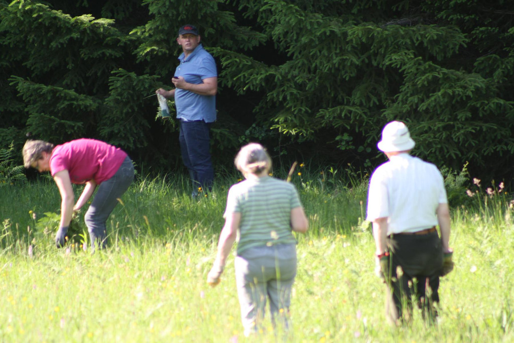 K1600_IMG_7117.JPG