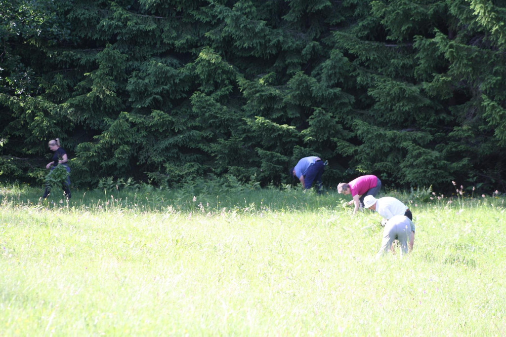 K1600_IMG_7111.JPG