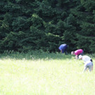 K1600_IMG_7111.JPG