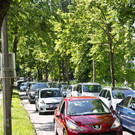 normal_20140610fmt_sturm_auf_lepi_mw-2.jpg
