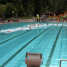 IMG_7799.JPG