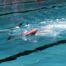 IMG_7831.JPG