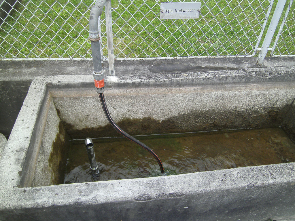 PICT0092.JPG
