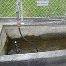 PICT0092.JPG