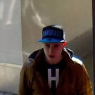 p11106-Foto-2.jpg