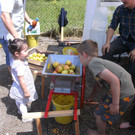 BILD3166.JPG