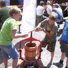 BILD3181.JPG
