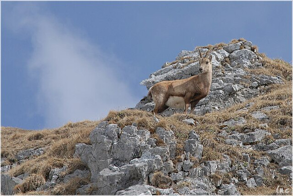 20100417_kanisfluh_074_luc.JPG