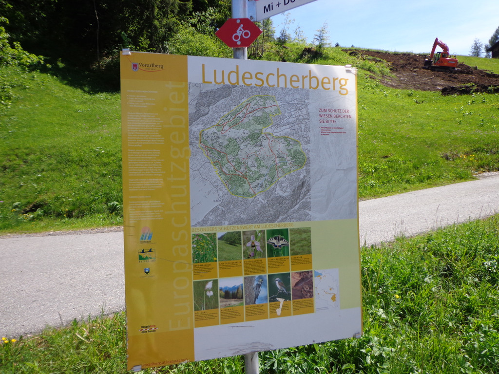 K__skn__pflepartie Berghof Ludescherberg 7_6_2014 073.JPG