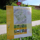Käsknöpflepartie Ludescherberg 7.6.2014