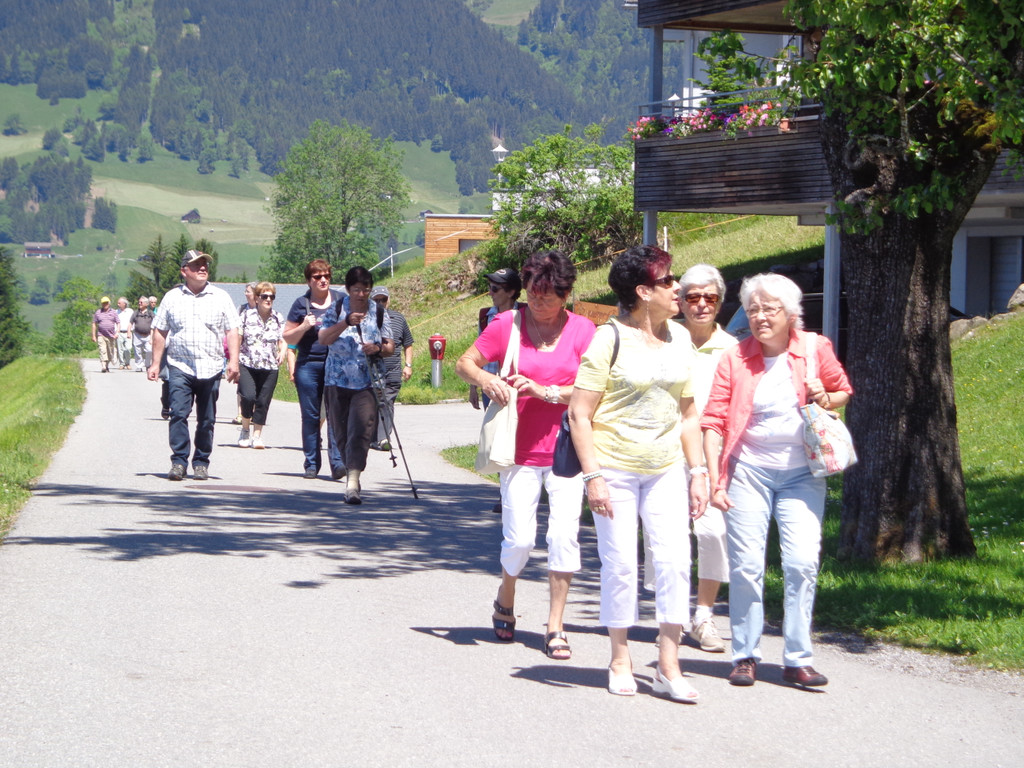 K__skn__pflepartie Berghof Ludescherberg 7_6_2014 013.JPG