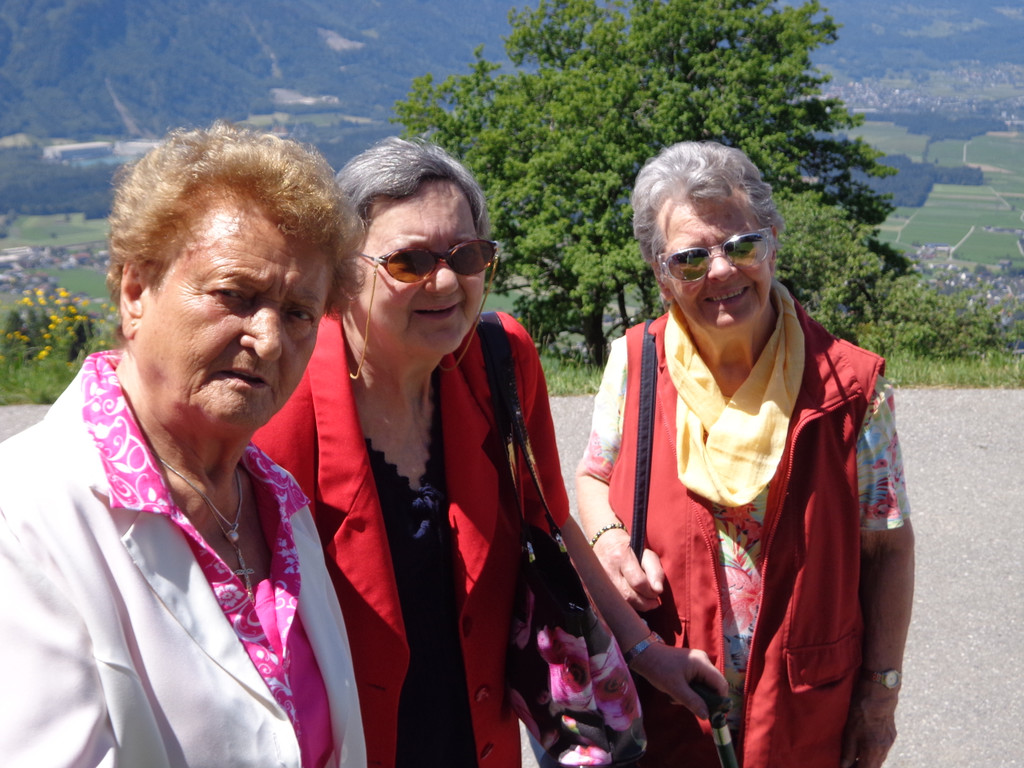 K__skn__pflepartie Berghof Ludescherberg 7_6_2014 003.JPG