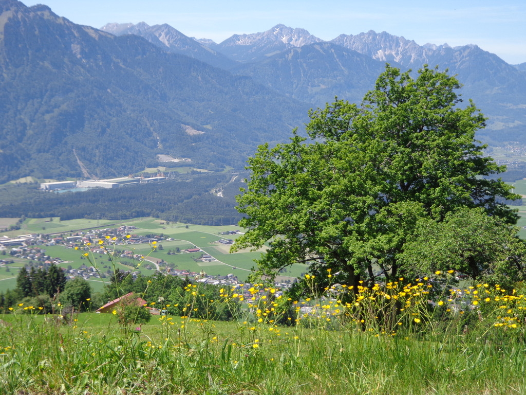 K__skn__pflepartie Berghof Ludescherberg 7_6_2014 005.JPG