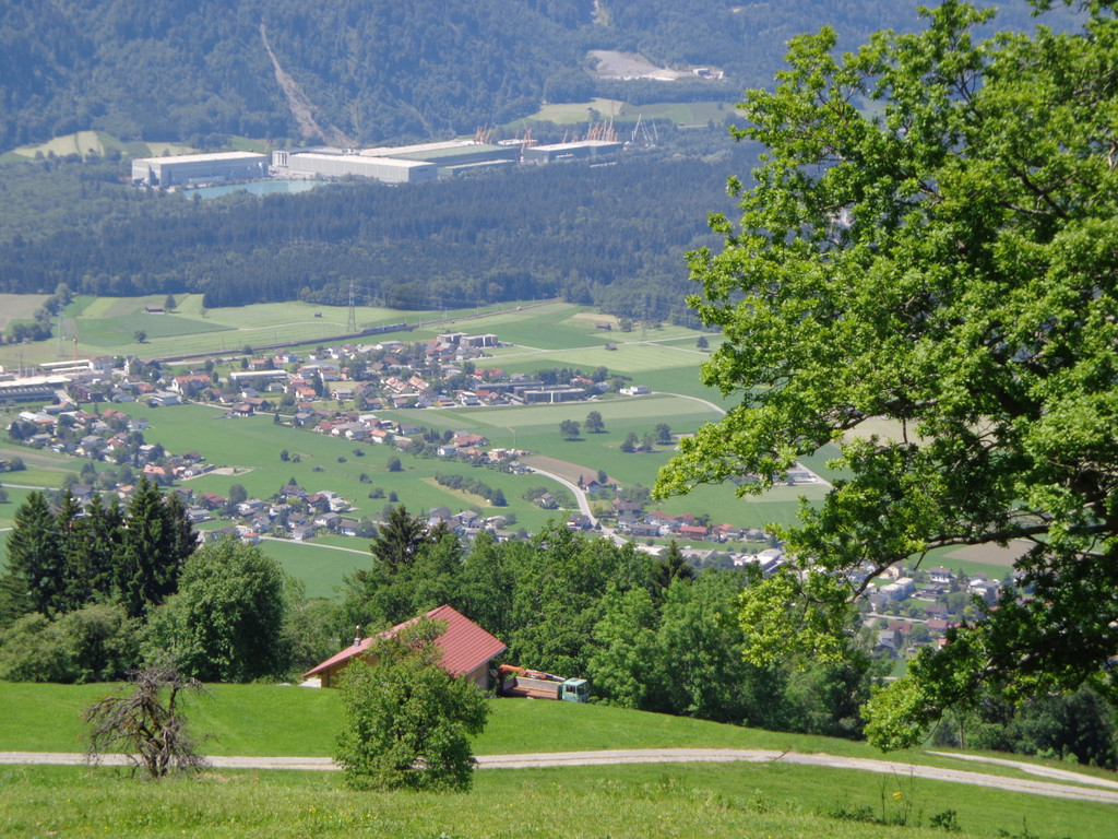 K__skn__pflepartie Berghof Ludescherberg 7_6_2014 020.JPG