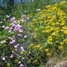 K__skn__pflepartie Berghof Ludescherberg 7_6_2014 045.JPG