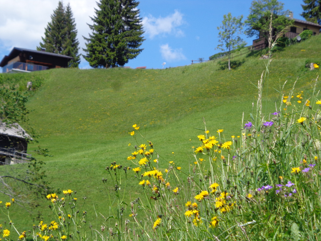 K__skn__pflepartie Berghof Ludescherberg 7_6_2014 065.JPG
