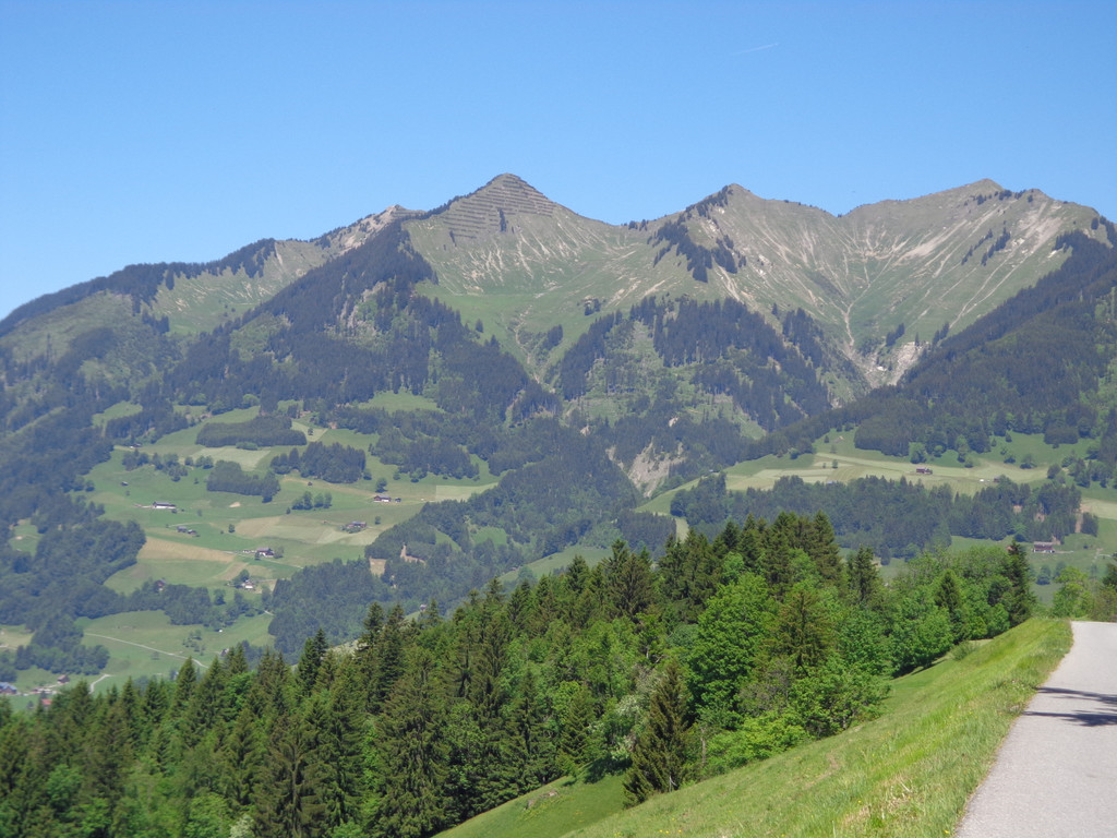 K__skn__pflepartie Berghof Ludescherberg 7_6_2014 007.JPG