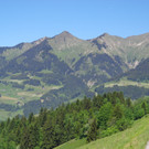 K__skn__pflepartie Berghof Ludescherberg 7_6_2014 007.JPG