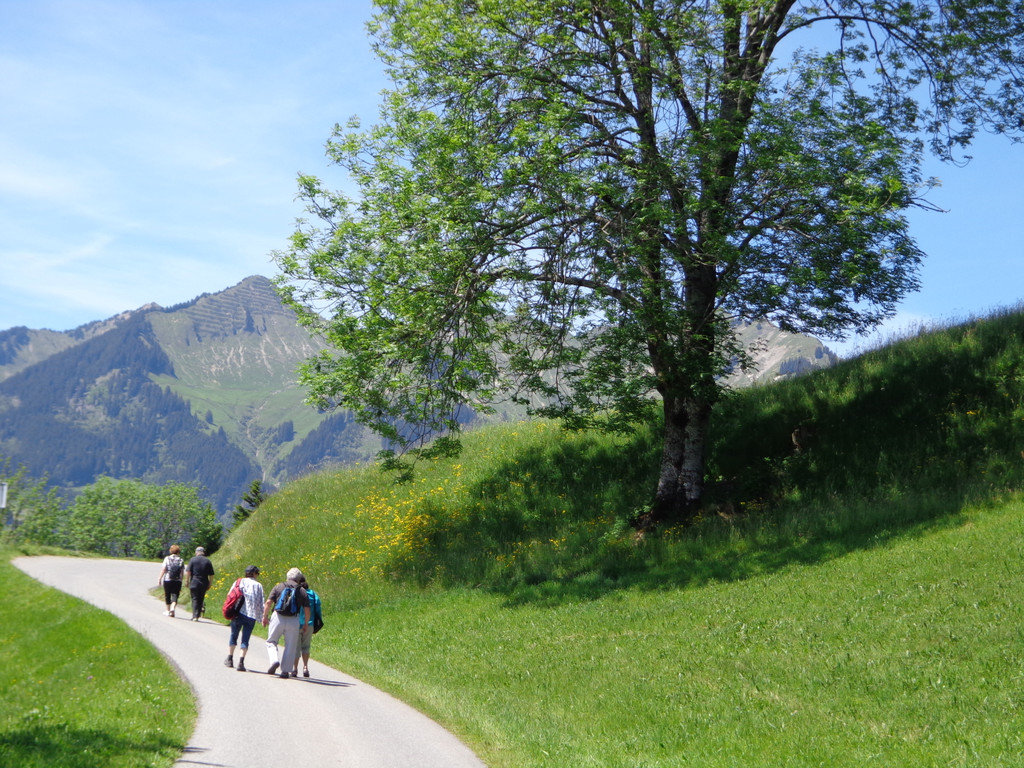 K__skn__pflepartie Berghof Ludescherberg 7_6_2014 068.JPG