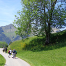 K__skn__pflepartie Berghof Ludescherberg 7_6_2014 068.JPG